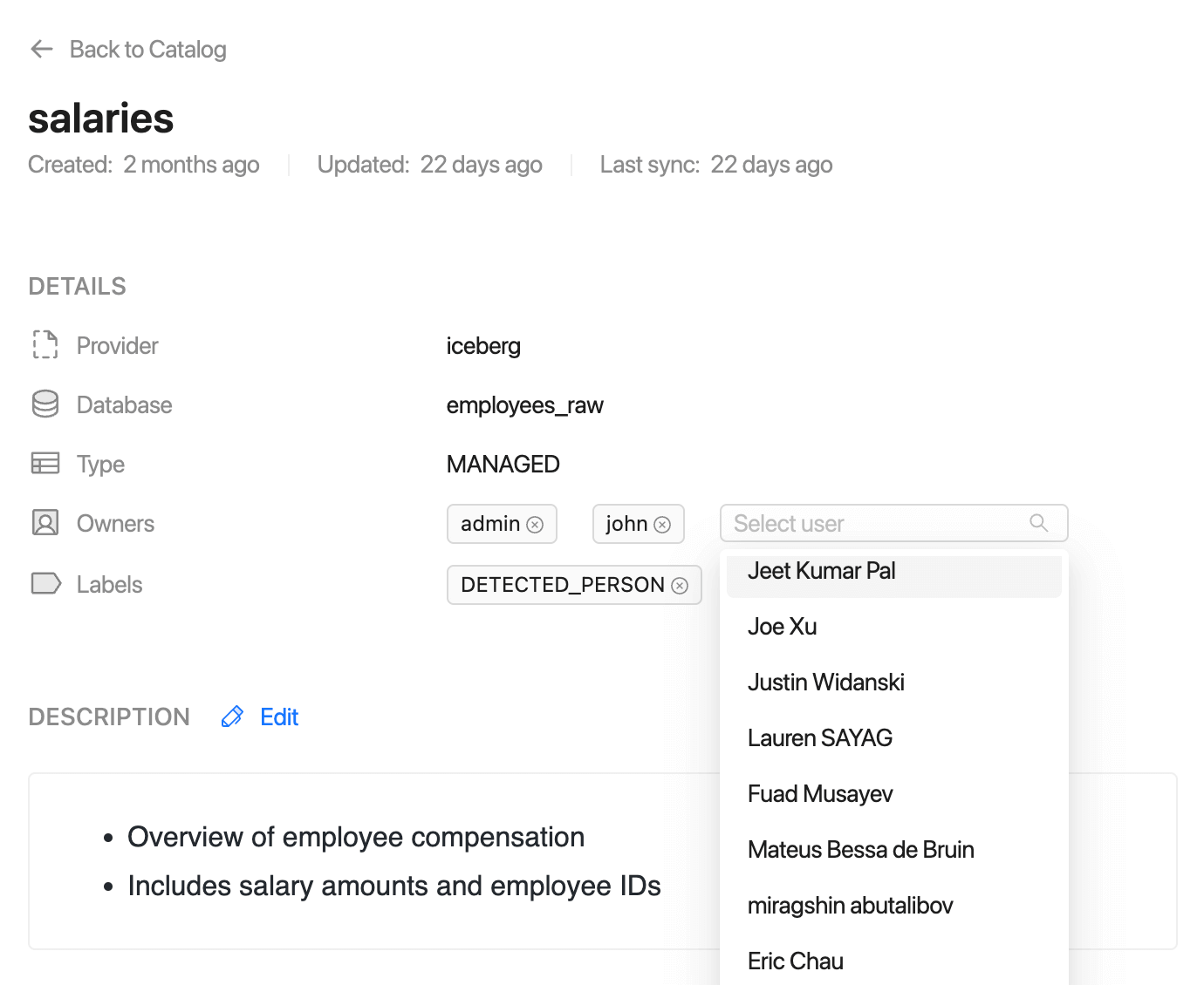 Data Catalog add owner | IOMETE