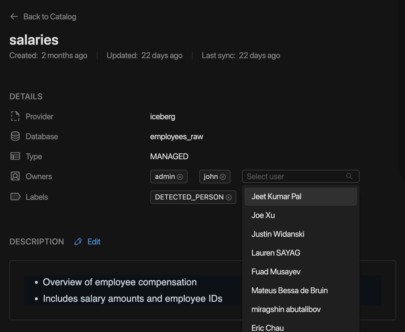 Data Catalog add owner | IOMETE