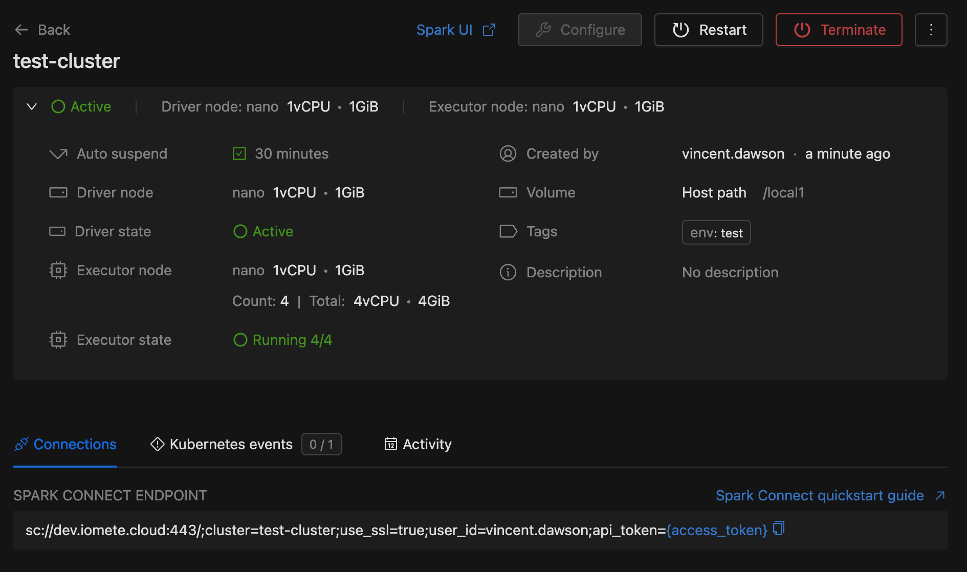 Spark Connect Cluster info | IOMETE