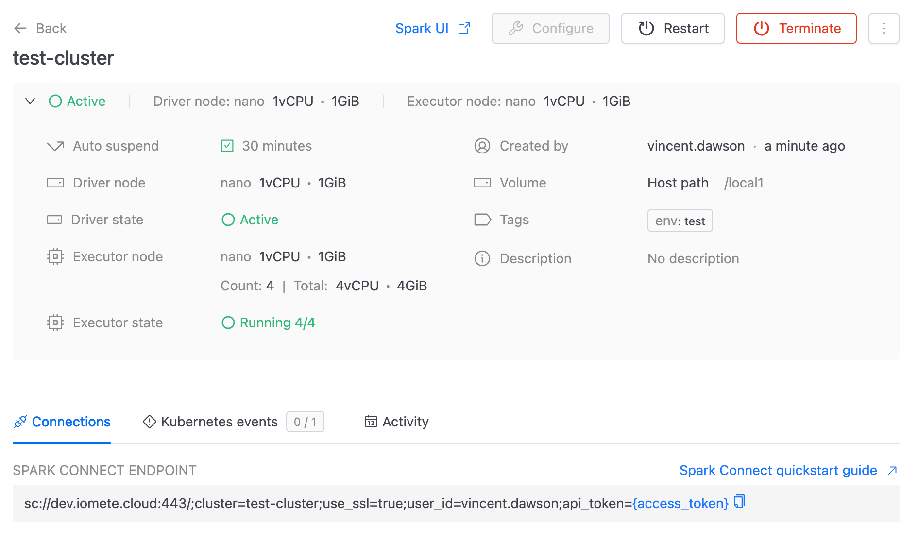 Spark Connect Cluster info | IOMETE