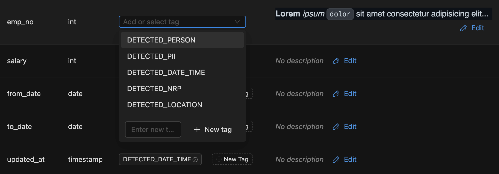 Data Catalog columns tags add | IOMETE