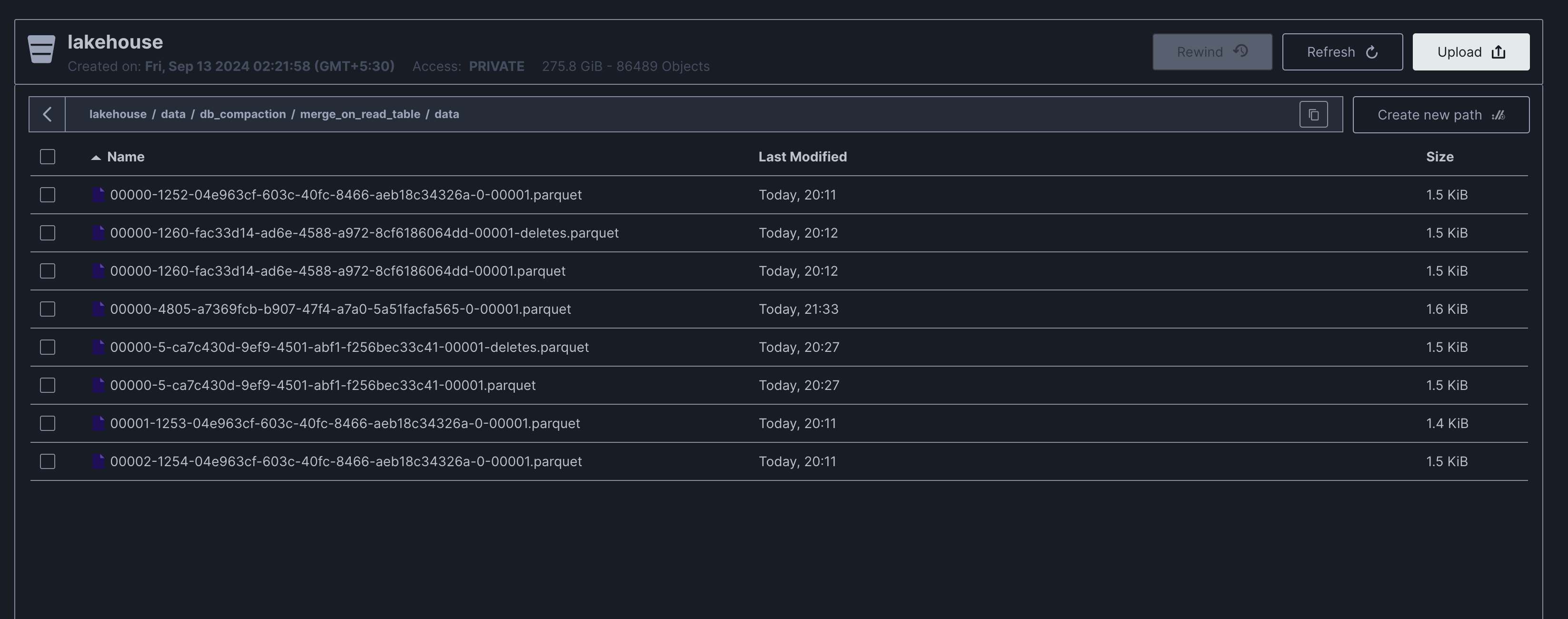 compaction-run1-mor-fs | IOMETE