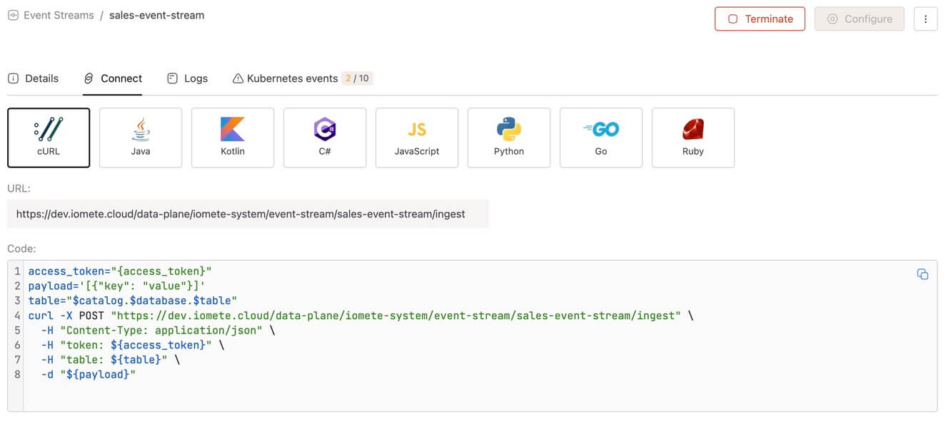 Connect tab | IOMETE