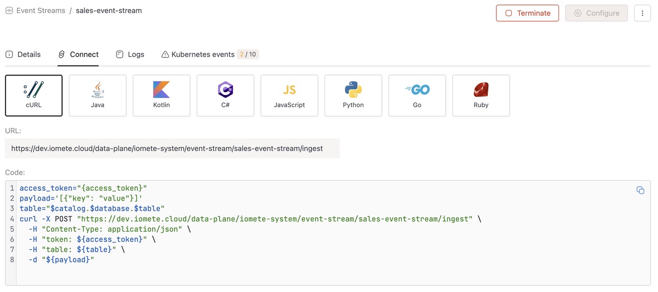 Connect tab | IOMETE