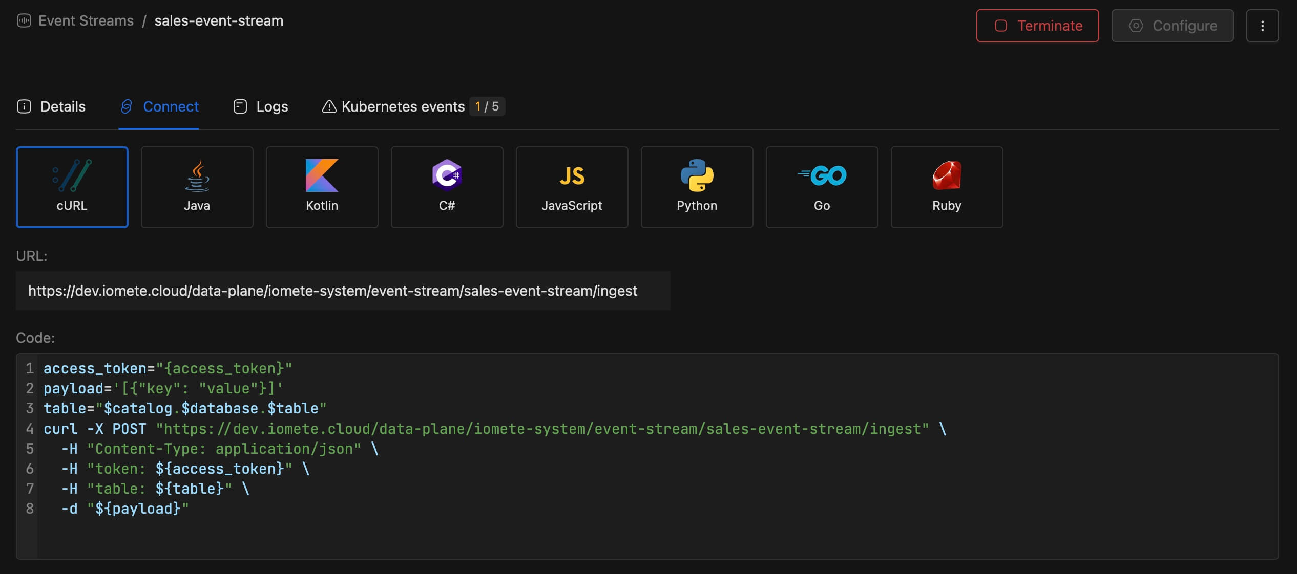 Connect tab | IOMETE