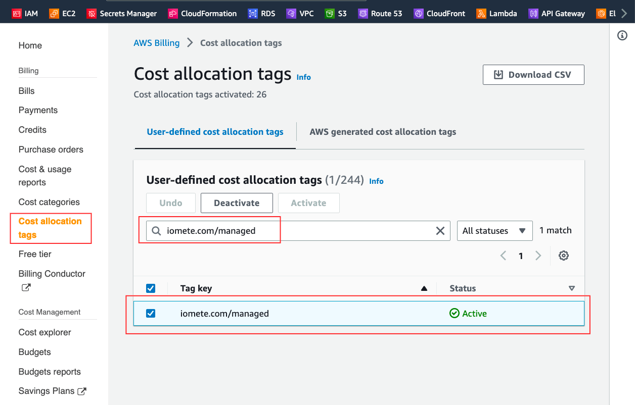 Cost allocation tags | IOMETE