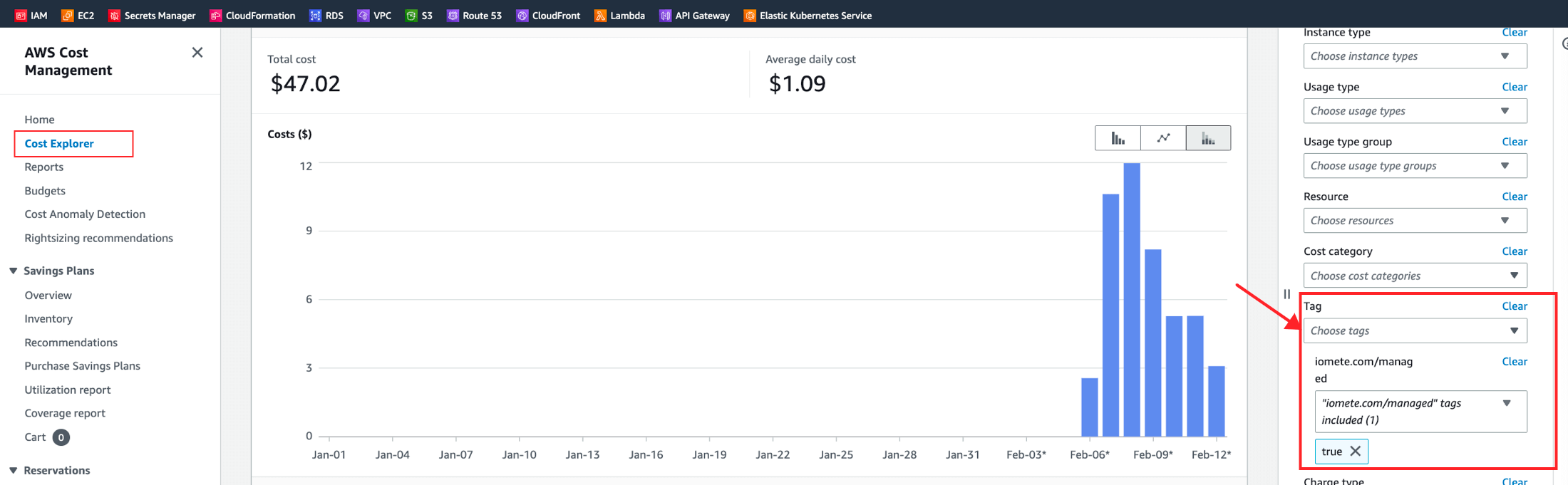 Cost allocation tags | IOMETE