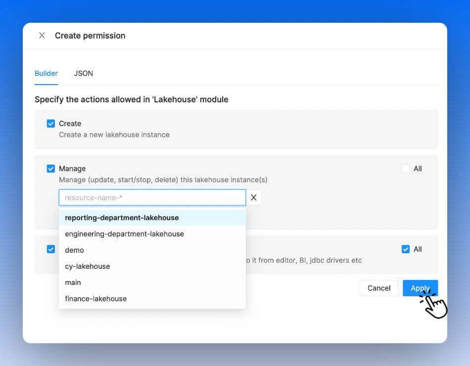 IOMETE access control system - permissions