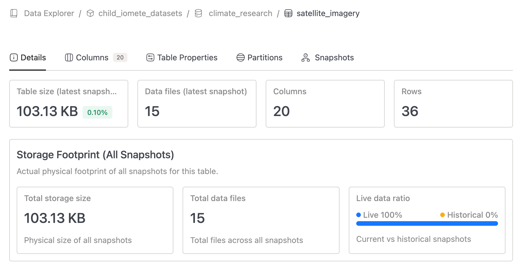 Data Explorer |Snapshoot footpring | IOMETE