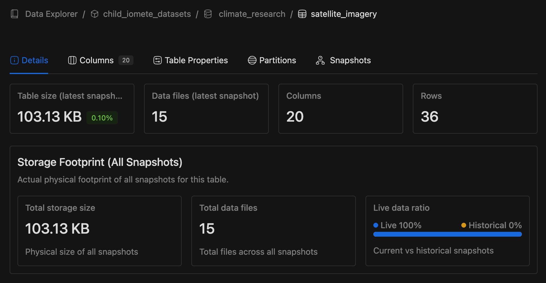 Data Explorer |Snapshoot footpring | IOMETE