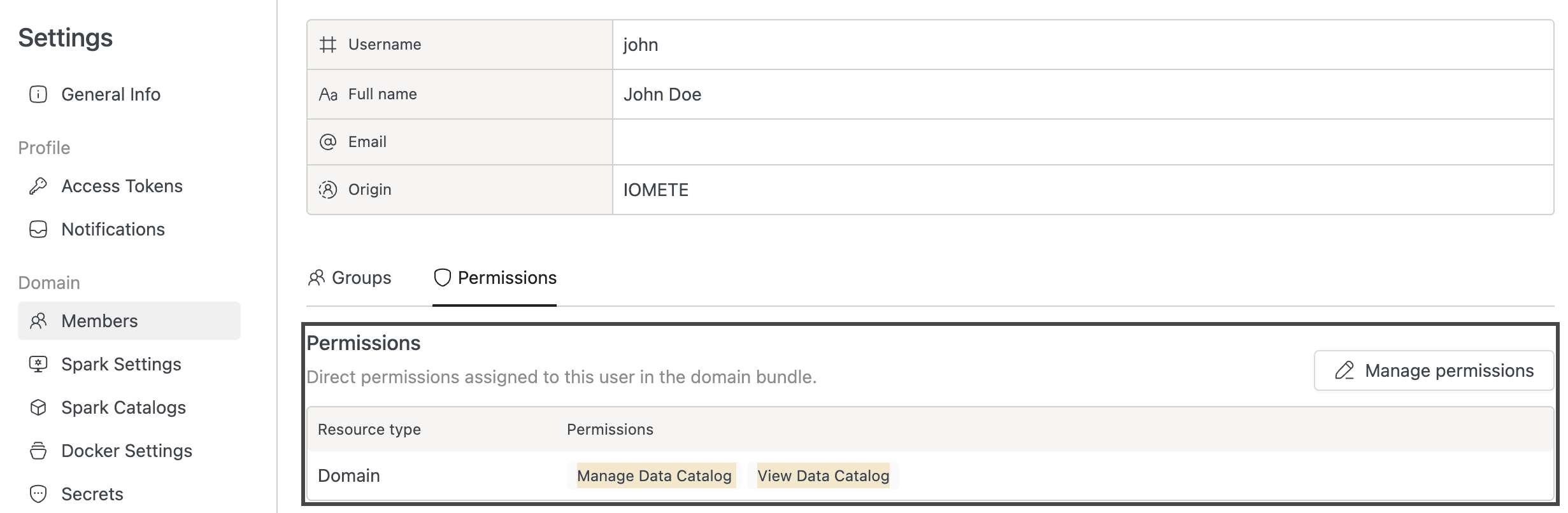 Data Governance permission settings showing View and Manage Data Catalog options | IOMETE