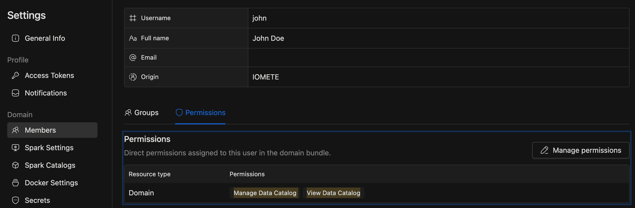 Data Governance permission settings showing View and Manage Data Catalog options | IOMETE