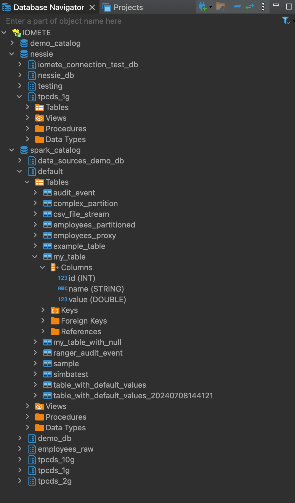 Database Navigator | IOMETE