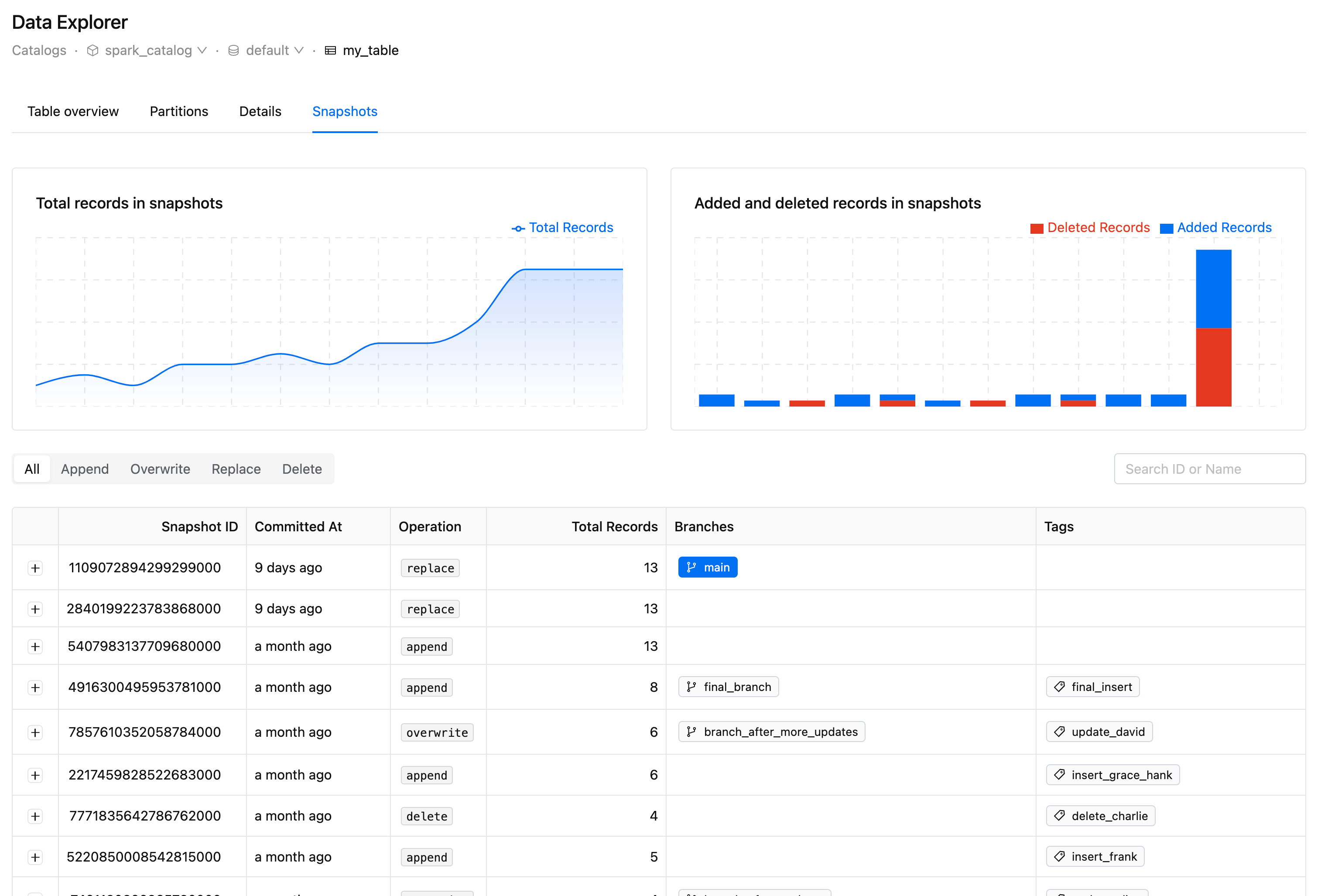 Data Explorer page | IOMETE