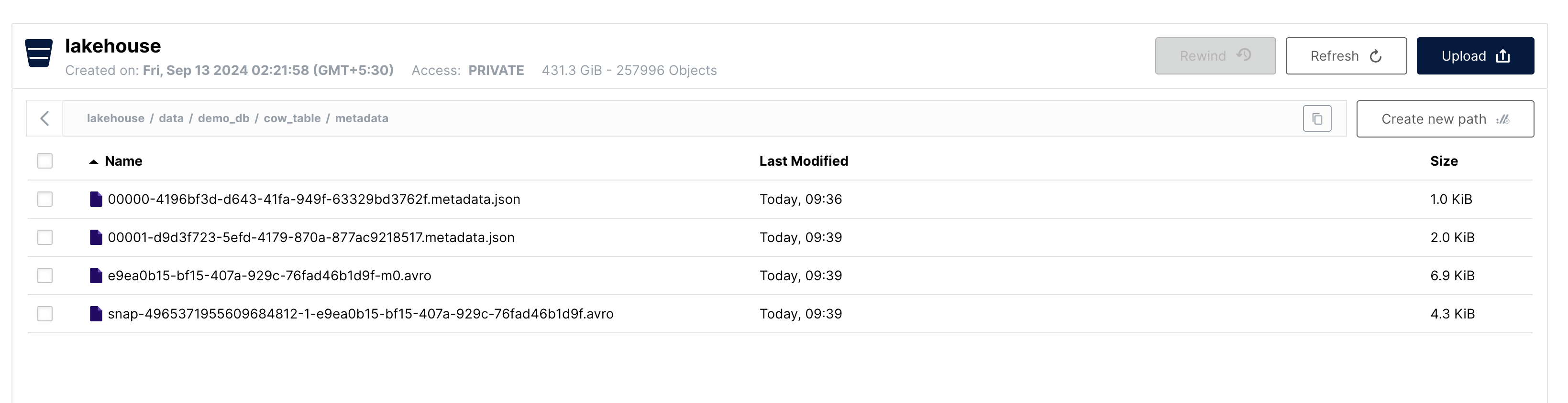 insert metadata MinIO | IOMETE