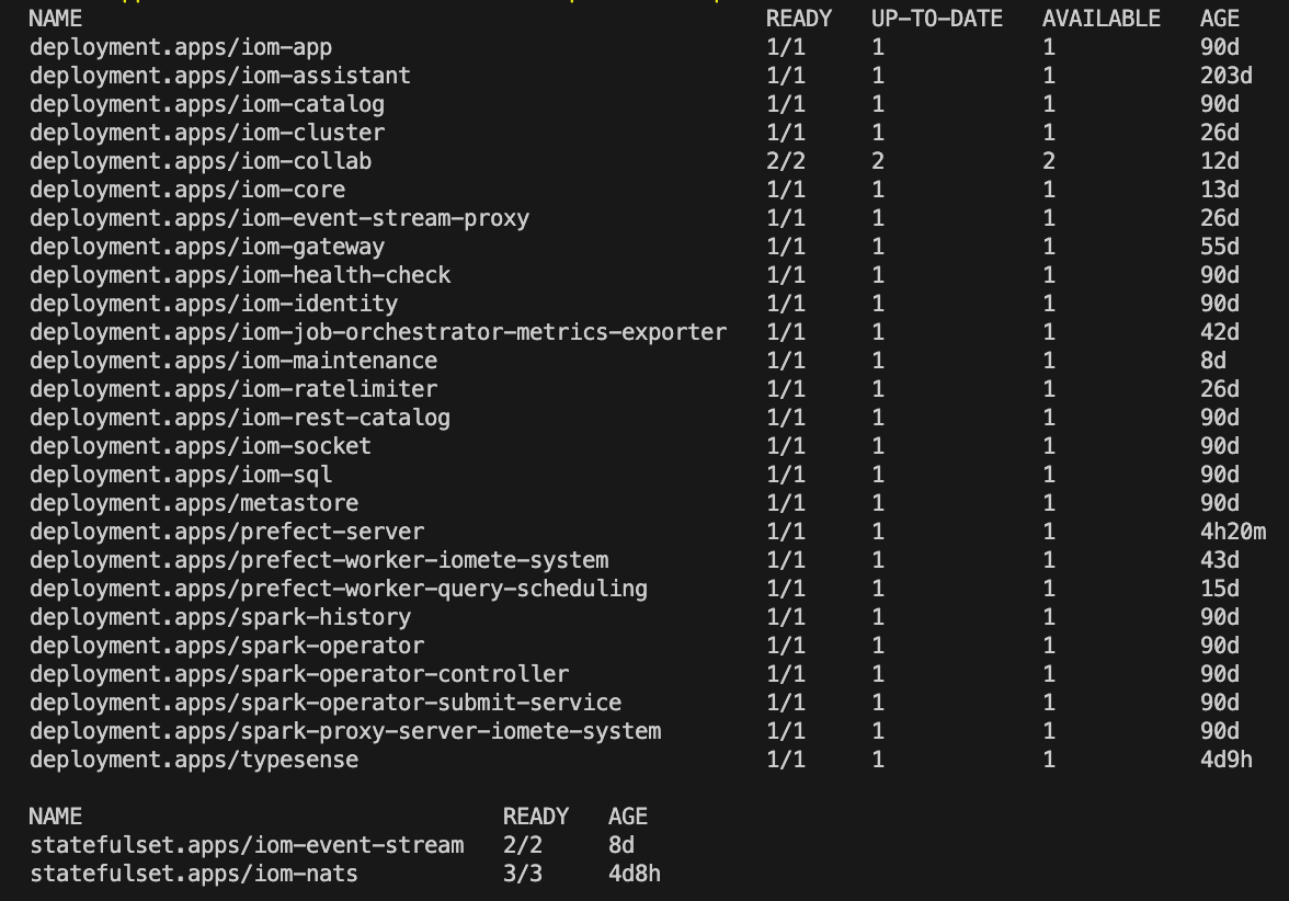 Deployments and StatefulSets | IOMETE