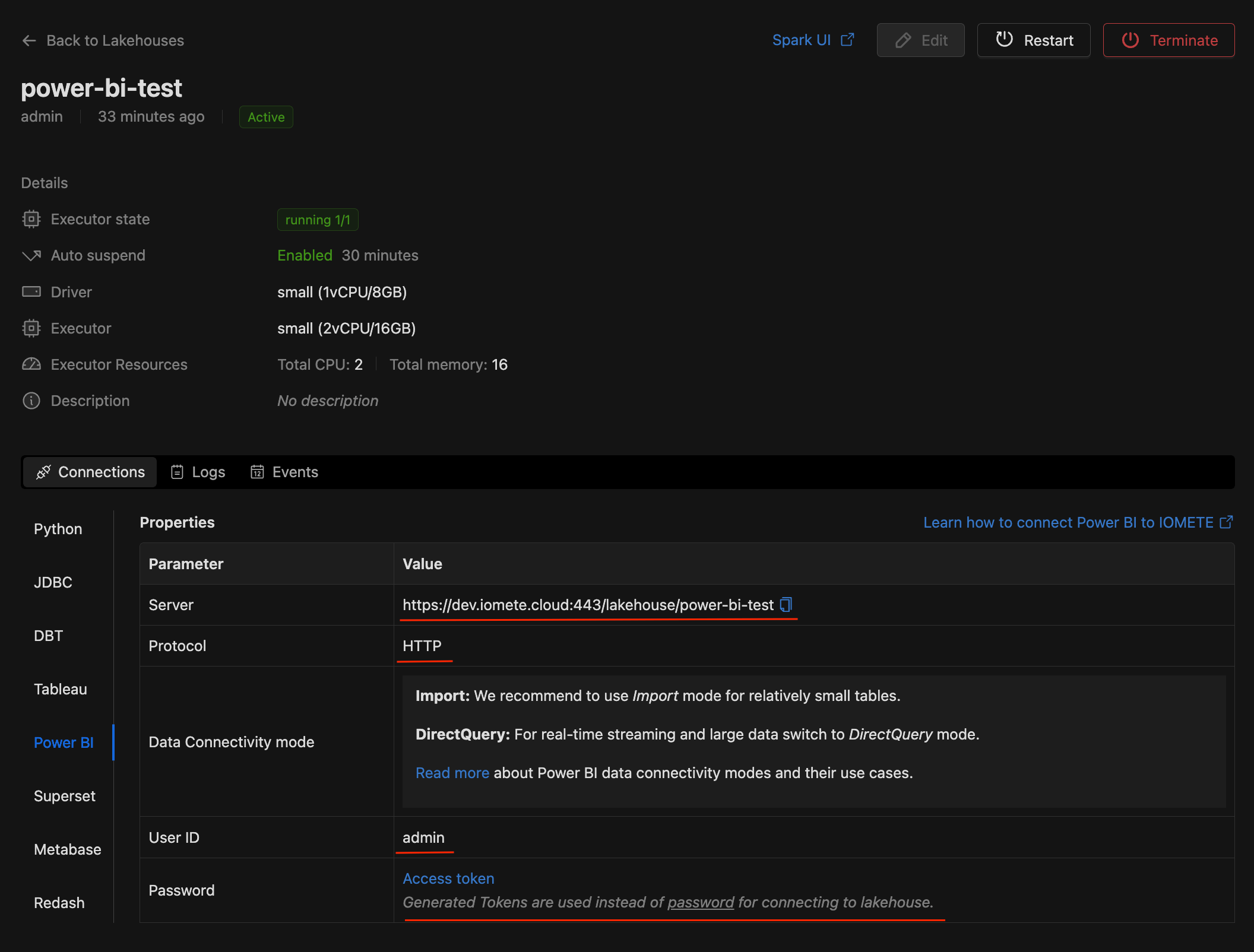 IOMETE lakehouse connection details | IOMETE