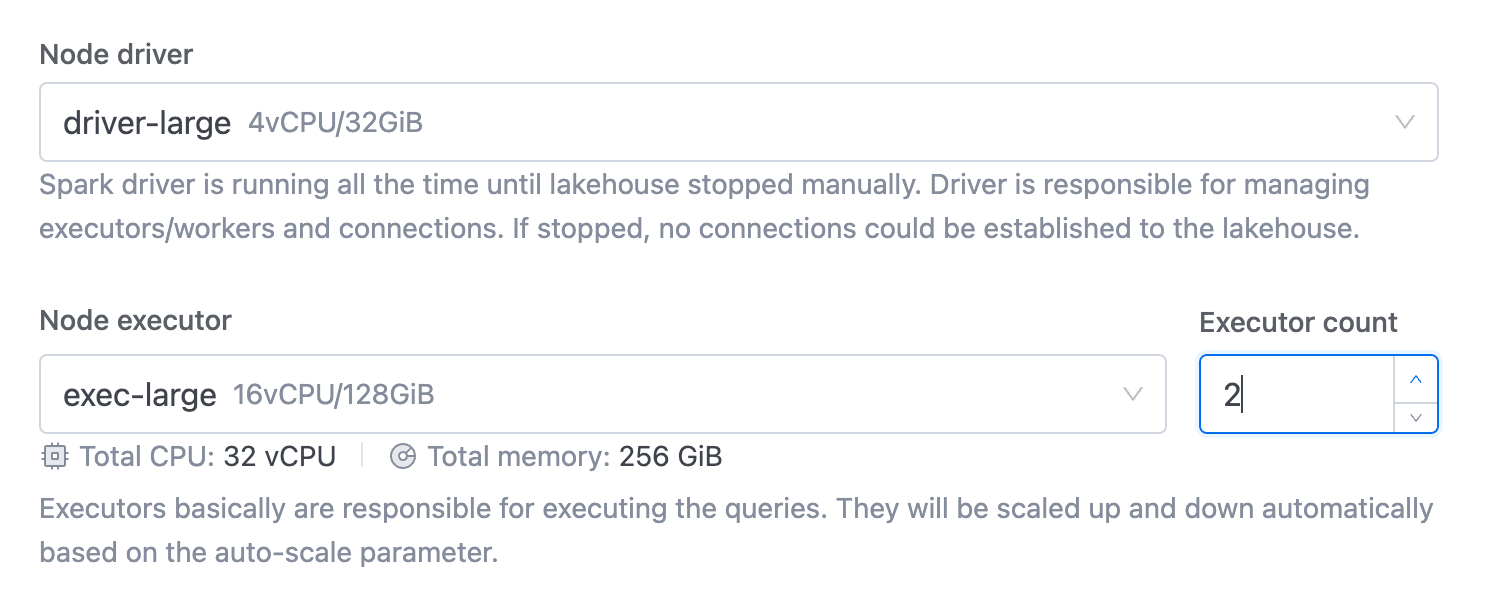Lakehouse Node type select | IOMETE