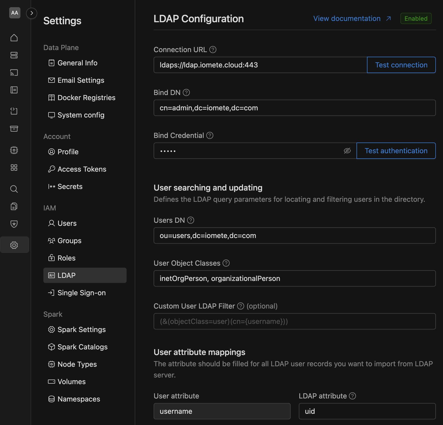 LDAP configuration | IOMETE