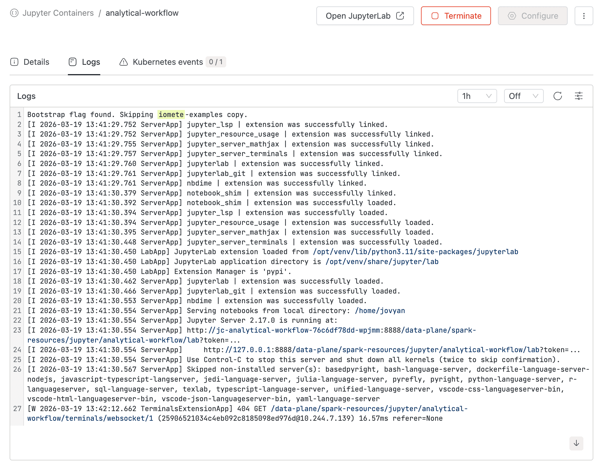 Logs tab showing streaming container log output with time range filter | IOMETE
