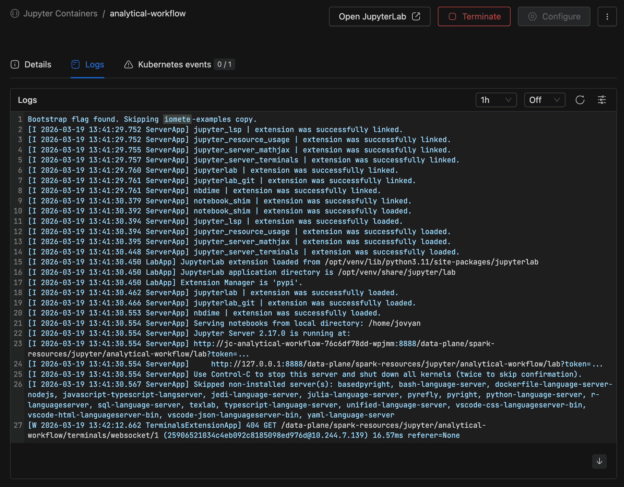 Logs tab showing streaming container log output with time range filter | IOMETE