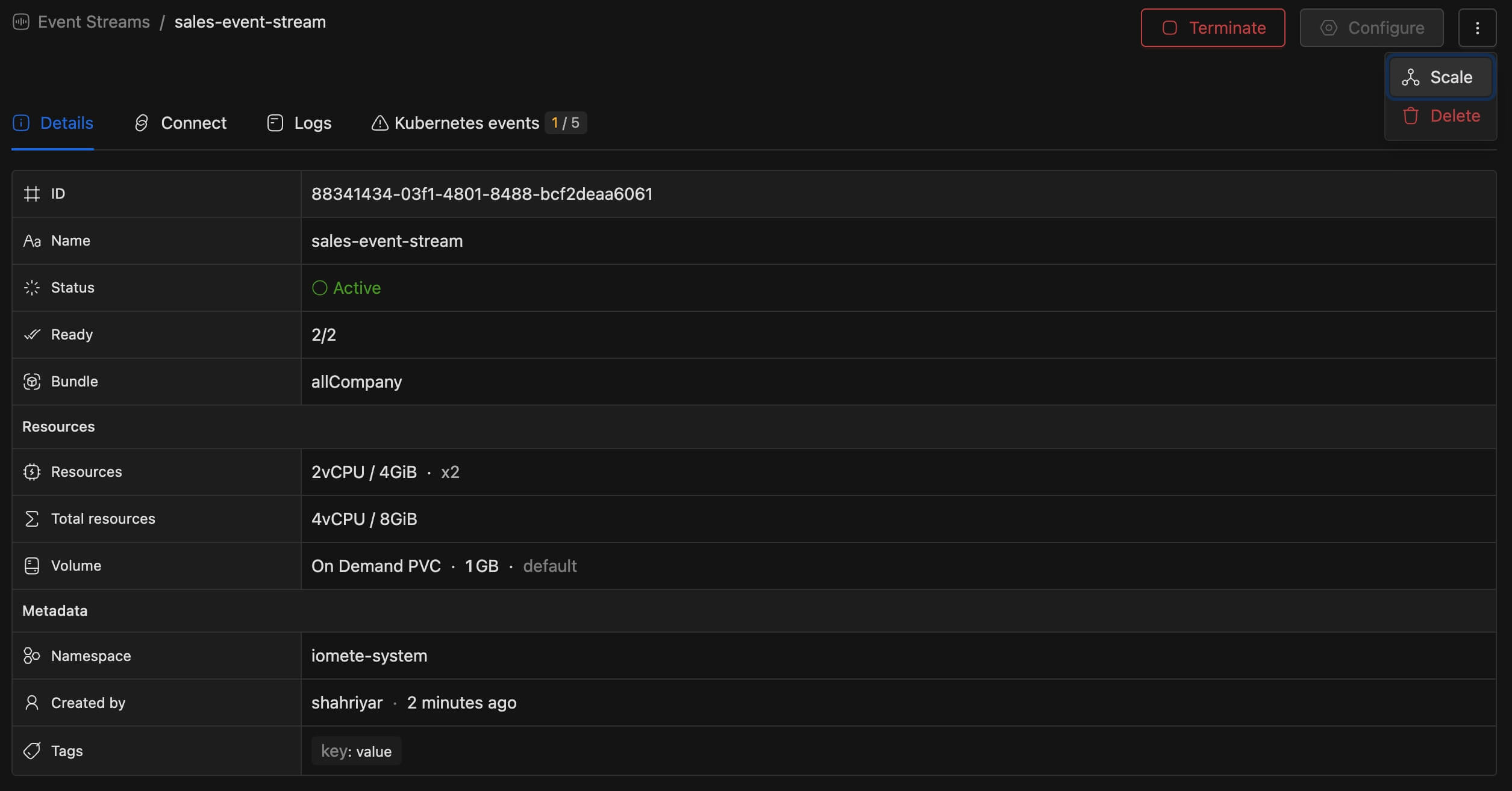 Scale and delete options | IOMETE