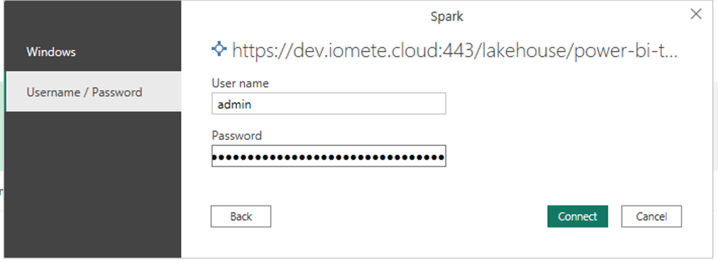 Power Bi User Password | IOMETE