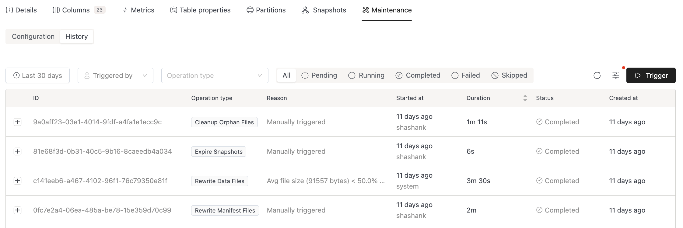 Maintenance History tab showing a list of maintenance runs with time range, operation type, and status filters | IOMETE