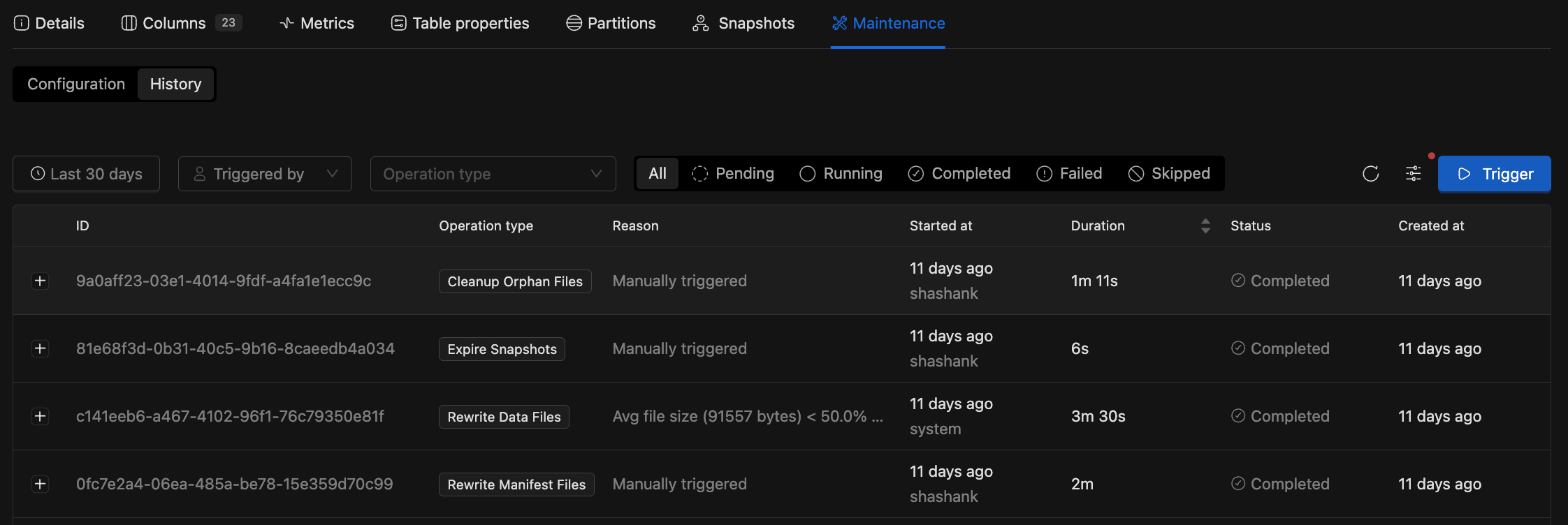 Maintenance History tab showing a list of maintenance runs with time range, operation type, and status filters | IOMETE