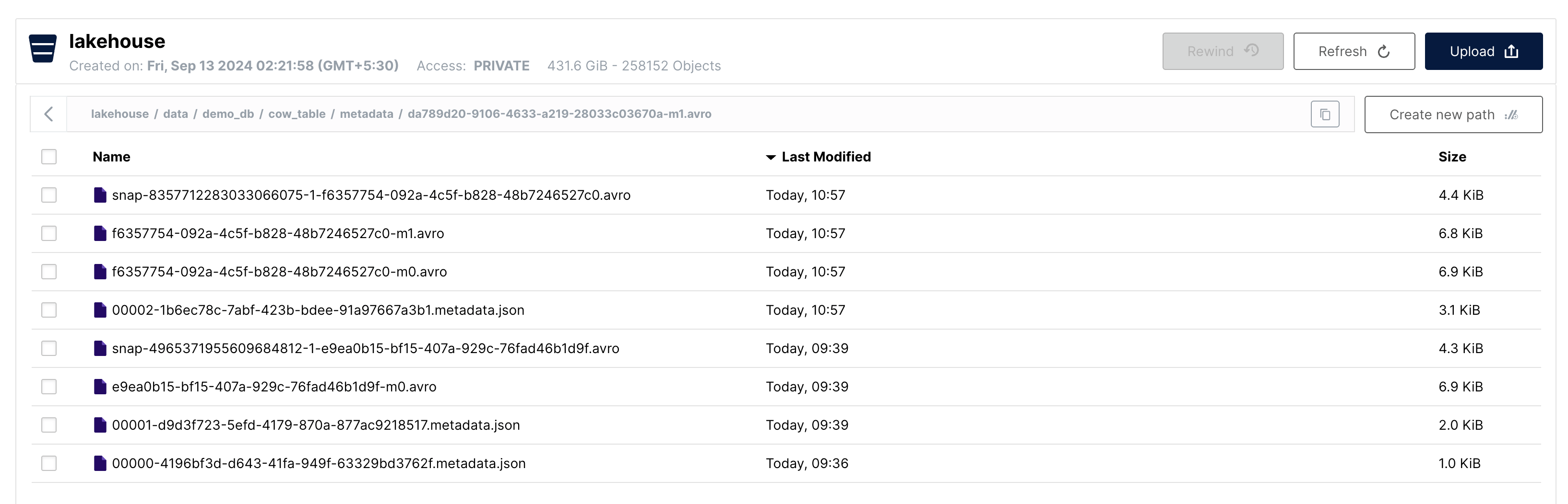 update metadata minio | IOMETE